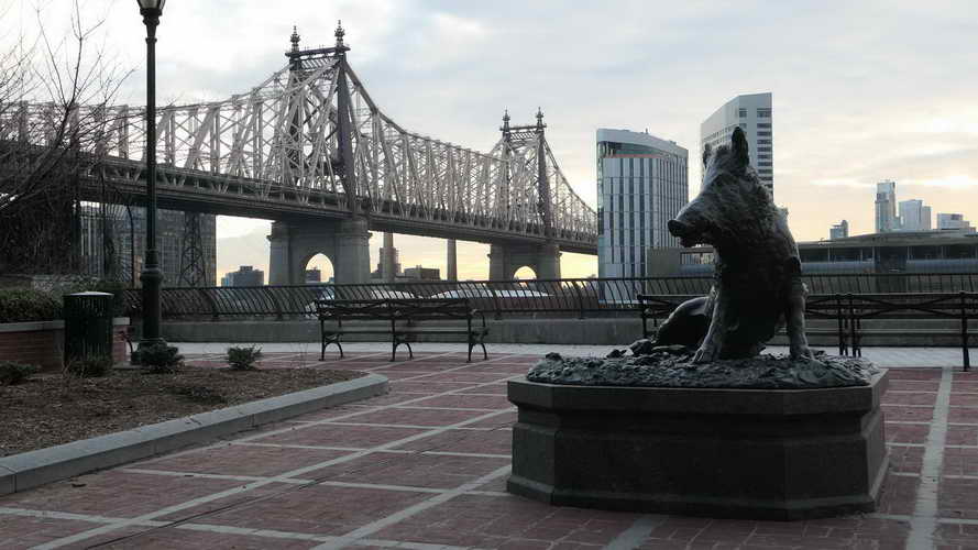 NYC_2020-01-27 07-40-54_P1070721